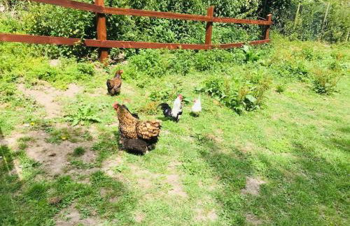 The Retreat - Photo 14