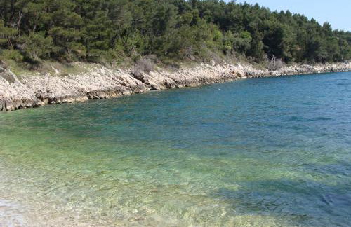 Holiday Home Botanica - Foto 51
