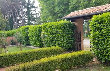 La Casa di Gigliola - Foto 14