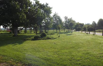 House Luna - Foto 33