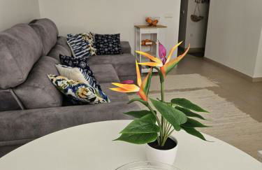 Mondrian Magic World - sea view first line of the beach - Photo 11