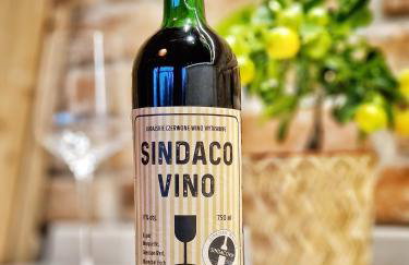 DomkiTomki, Winnica Sindaco - Foto 17