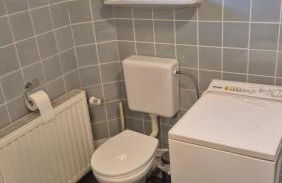 Pferdeblick - Foto 10