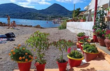 Nikolas Beach House - Foto 24