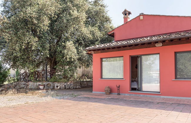 Fattoria di Malavolta - Foto 1