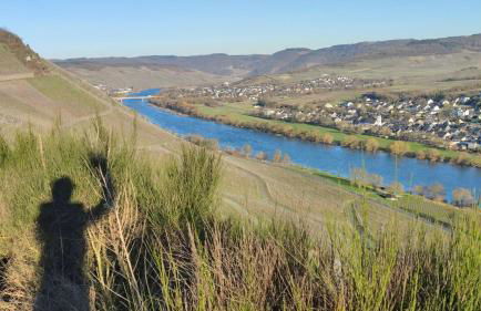 Ferienwohnung im Moselland - Foto 21