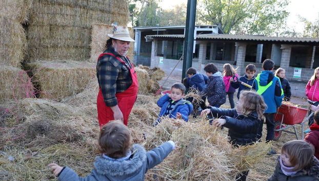 Atividades teatralizadas