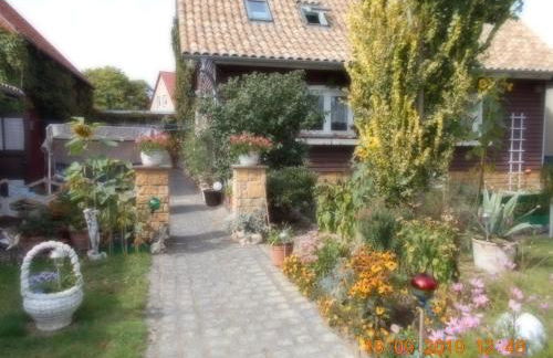 Vermiete sehr schönes Apartment in Dankerode im Harz - Foto 1