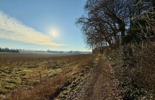 Boutique Home Bad Iburg - Foto 19