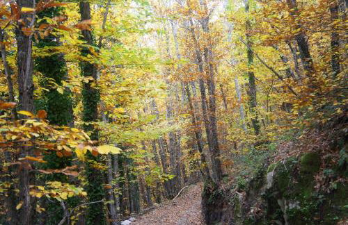 Casa Rural Estrela - Foto 30