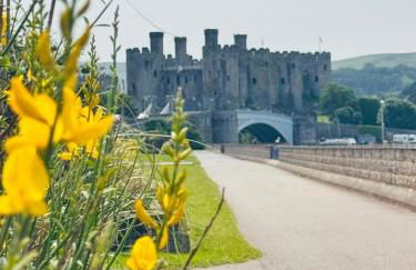 The View on Castle Hill with Lovely Hot Tub - Foto 8