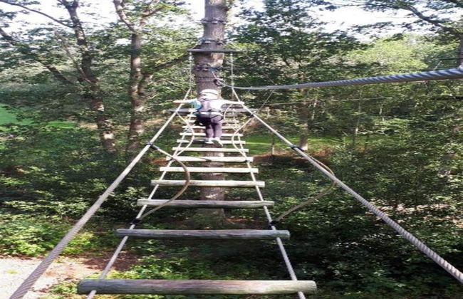 Spacious Chalet in a Rural Location Near Giethoorn - Photo 35