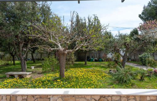 Villa Gaia - Foto 33