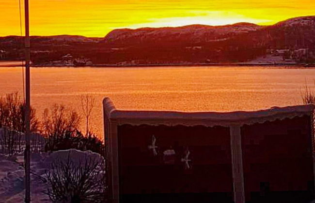 7 Person Holiday Home in Jarfjord-by Traum - Photo 19