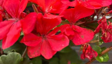 Ermstalsuite - Foto 3