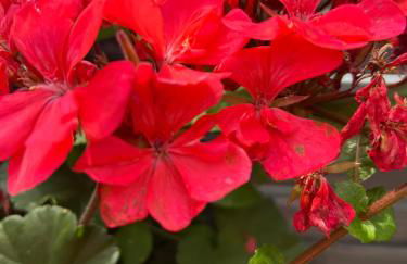 Ermstalsuite - Foto 3