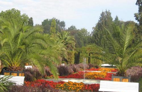 Am Living Garden - Foto 36