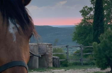 Cabañas Buenache - Foto 27