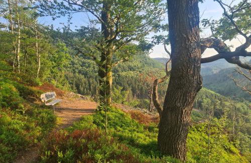 Ferienwohnung "Auszeit" - Photo 43