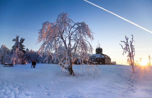 THE SUITE Winterberg Deluxe - Exklusive Ausstattung, Bestlage zwischen Skikarussell und Marktplatz, eigener Garten, Ski- und Fahrradraum, ruhige Südausrichtung, WLAN, hundefreundlich - Foto 35