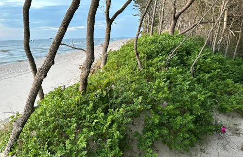 Morski Las - Foto 48