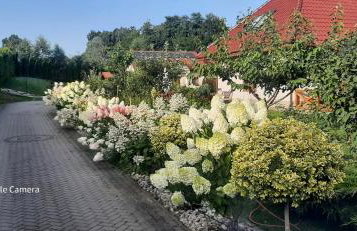 Apartament Hortensjowy Zakątek - Foto 12