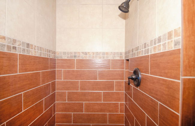 EML 7 Cloven-Hoofed - Foto 18