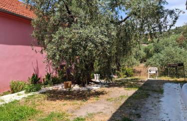 Olivendra Thassos - Photo 34