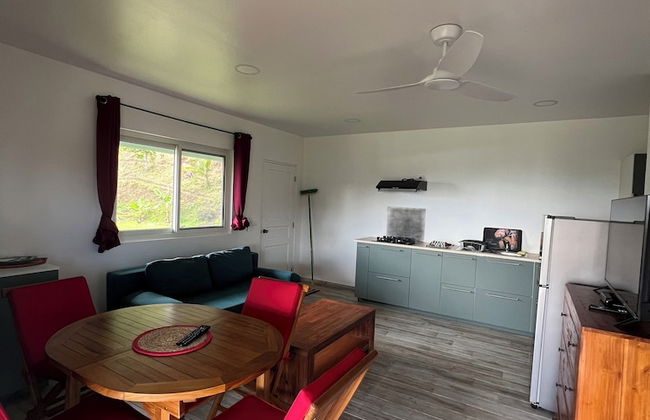 Painapo - Mirimiri Lodge - Photo 17