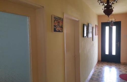 Apartman VeDE Baćina - Foto 32