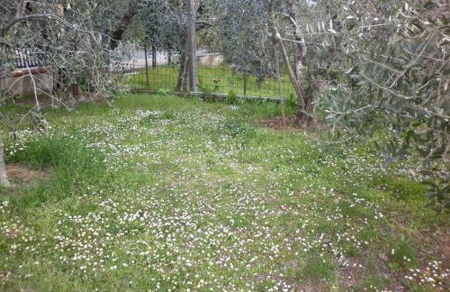 Casa Gli Ulivi - Foto 33