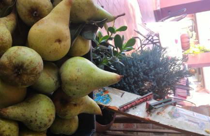 Agriturismo La Fattoria Del Boschetto - Photo 41