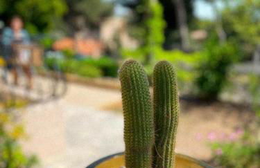 Villa Cocody - Foto 27