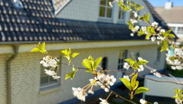 Sellin Ferienwohnung Maritim - Foto 4