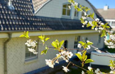 Sellin Ferienwohnung Maritim - Foto 4