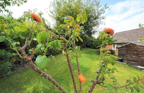 Charlesmead - Foto 13