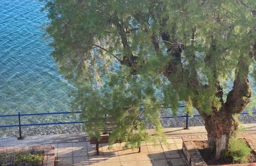 Κοράλι, μεζονέτα στην παραλία Λίμνης - Photo 64