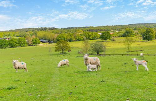 Cedar Lodge - Foto 36