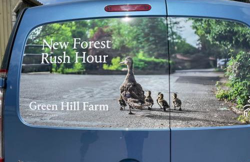 Bumble Lodge New Forest - Foto 58