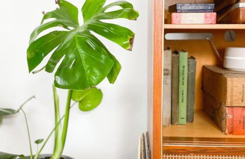 Mid-Century Modern Home Near Downtown with Free Parking - Foto 8