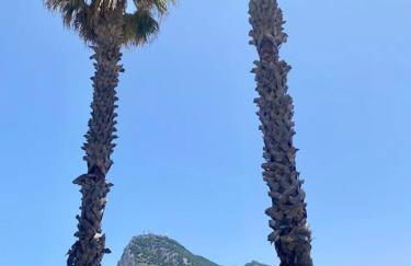 Residencia Lucia - Photo 49