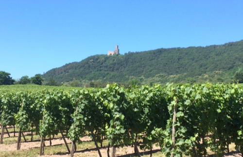 Gite Du Rittersberg - Foto 37