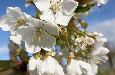 Ferienwohnung NatuRaum - Photo 29