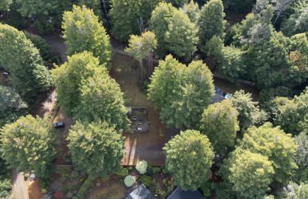 Serenity Grove - Foto 14