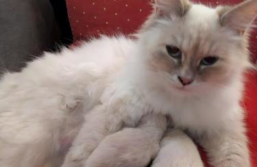 Ferme Pédagogique Bordeneuve - Foto 41