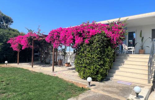 Villa Villino Blu by the sea - Foto 1