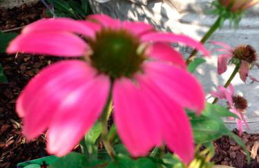 Ferienwohnung-Kappl - Foto 14