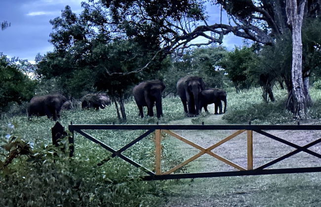 The Wild Farms By Gwestai - Foto 23