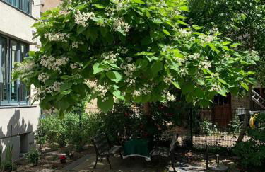 Boarding-Potsdam - Foto 41