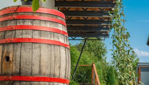 Winnica Płochockich Country House - Foto 2